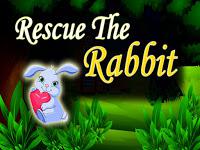 play Top10 Rescue The Rabbit