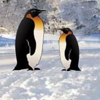 play Penguin Snow Land Escape