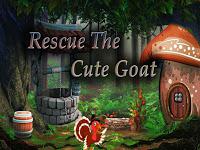 play Top10 Rescue The Cute Goat
