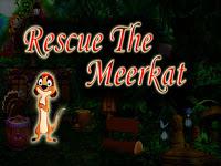 Top10 Rescue The Meerkat