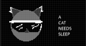 play A Cat Needs Sleep
