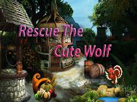 play Top10 Rescue The Cute Wolf