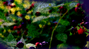 play Fragments Of Raspberry Island