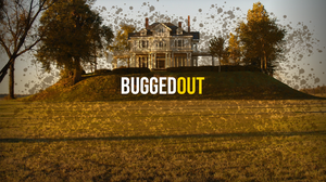 play Bugged Out!