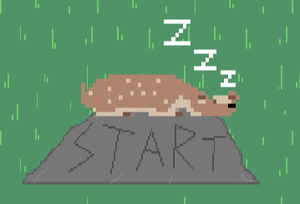 play Animal Guide