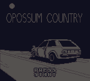 Opossum Country