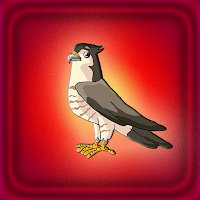 play G2J Falcon Bird Escape