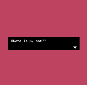 play Where Is My Cat?