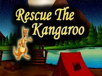 play Top10 Rescue The Kangaroo