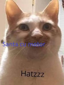 play Santa Cu Motor
