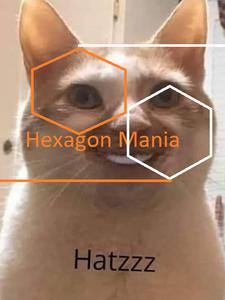 play Hexagon Mania