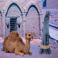 play Escape-Desert-Camel-Firstescapegames