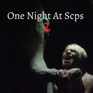 play One Night At Scps 2