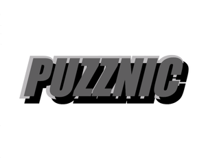 play Puzznic