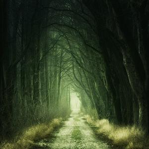 play The Other World