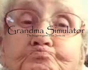 play Grandma Simulator