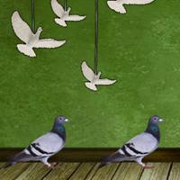 play 8B Pigeon Escape 2