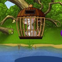 play G2J The Opossum Rescue