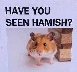 play Hamish