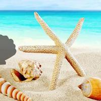 play Fantasy Conch Beach Escape