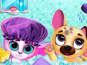 play Cute Pet Friends