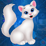 play Hapless Cat Escape