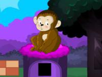 play Humble Forest Escape