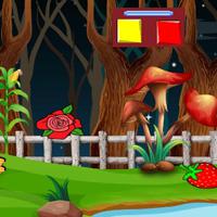 play G2J Forest Red Owl Escape