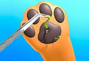 Paw Care