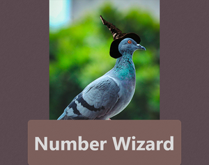 Number Wizard