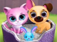 play Cute Pet Friends