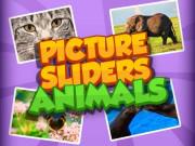 play Picture Slider Animals