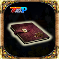 play Top10 Find The Diary