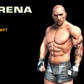 play Fight Arena Online