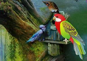 play Fantasy World Parrot Escape