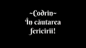 Codrin - In Cautarea Fericirii