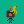play Fruit Fight!