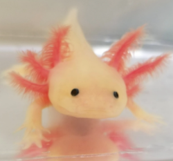 play Adventures Of Axo