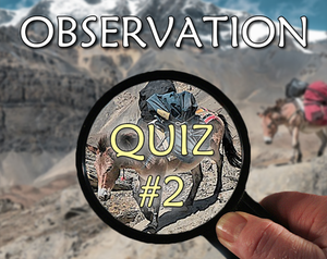 Observation Quiz 2