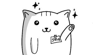 play Conscience Vs. Steve