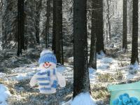 play Winter Wonderland Forest Adventure
