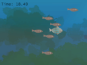 play Fish Companions