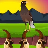 play G2M Myna Land Escape