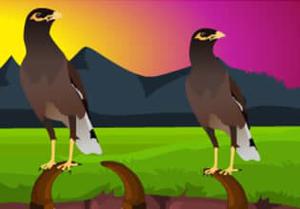 play Myna Land Escape