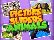 play Picture Slider Animals