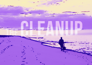 play The Cleanup