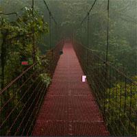Escape-From-Monteverde-Cloud-Forest-Reserve