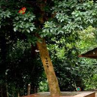play Gfg-New-Residence-Escape