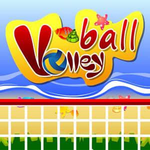 play Volley Balley