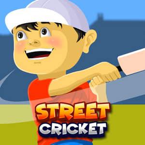 play Street Cricket